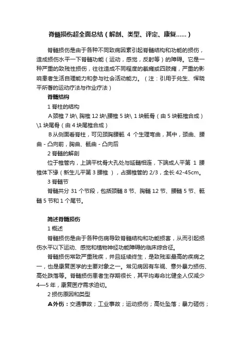 脊髓损伤超全面总结（解剖、类型、评定、康复......）