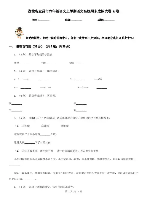 湖北省宜昌市六年级语文上学期语文名校期末达标试卷 A卷