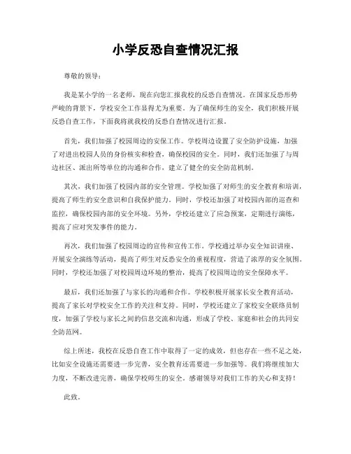 小学反恐自查情况汇报