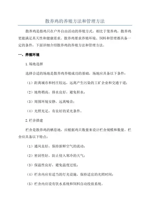 散养鸡的养殖方法和管理方法