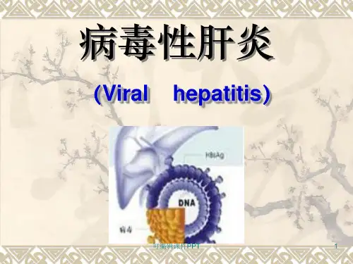 病毒性肝炎精ppt课件