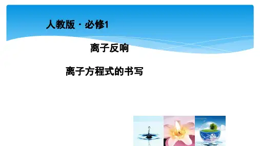 高中化学离子方程式的书写优秀课件