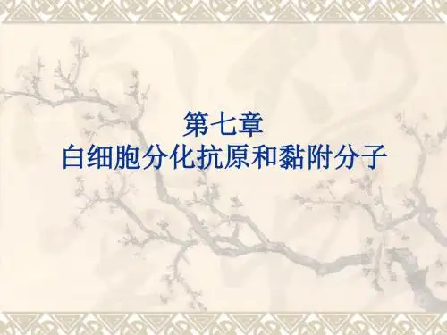 第七章 白细胞分化抗原和黏附分子