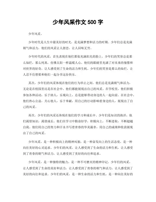 少年风采作文500字