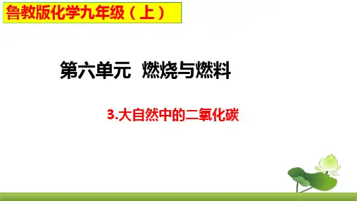 鲁教版化学九上同步课件： 大自然中的二氧化碳 第1课时 二氧化碳的循环及温室效应
