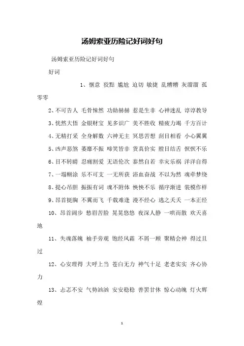 汤姆索亚历险记好词好句