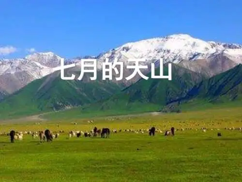 四年级下册语文课件1.4《七月的天山》人教新课标 (共16张ppt)