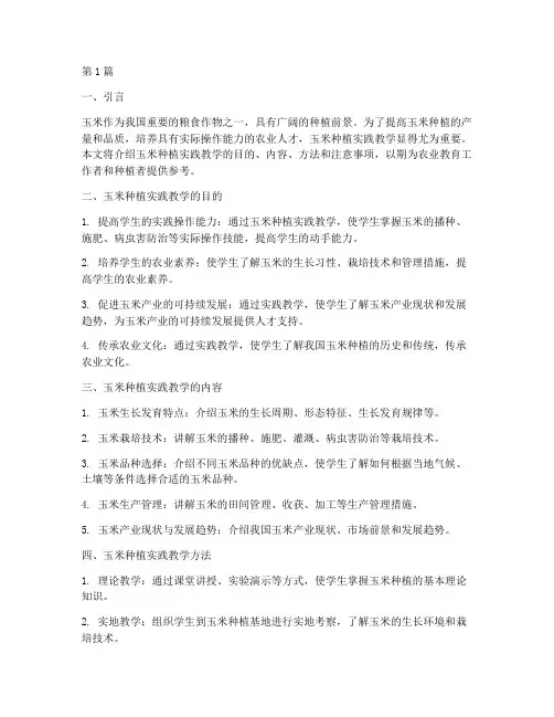 玉米种植实践教学(3篇)