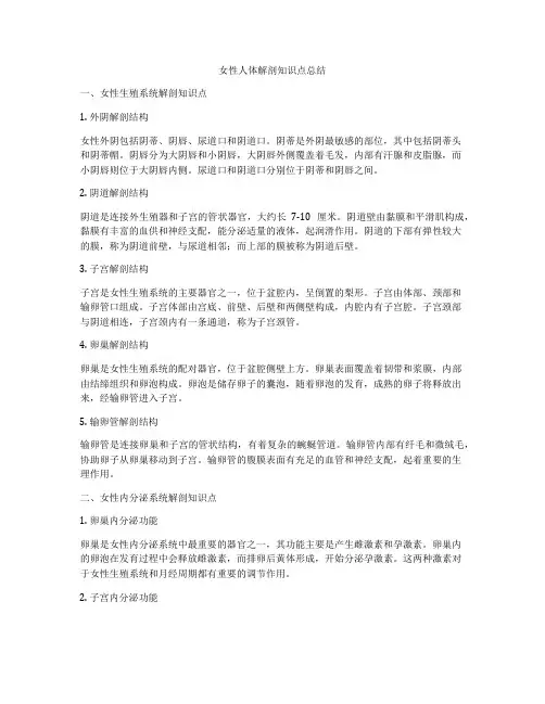 女性人体解剖知识点总结