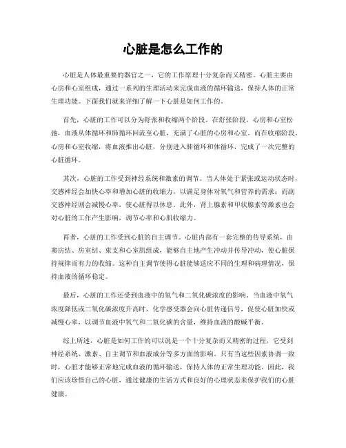 心脏是怎么工作的
