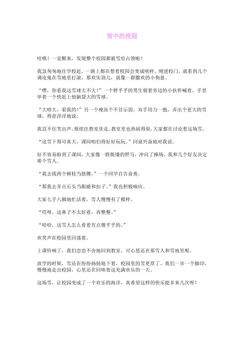 雪中的校园