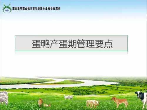蛋鸭产蛋期管理要点(精)