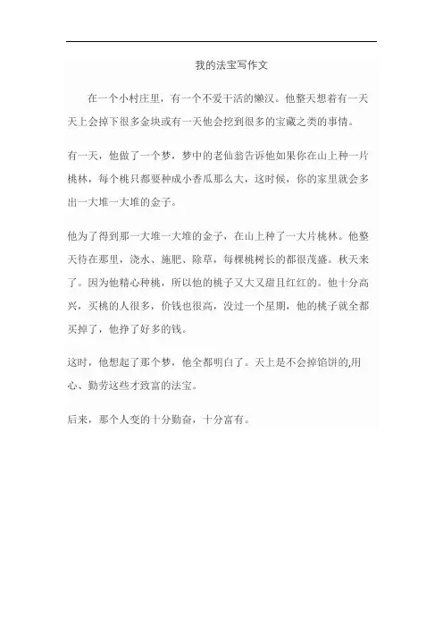 我的法宝写作文