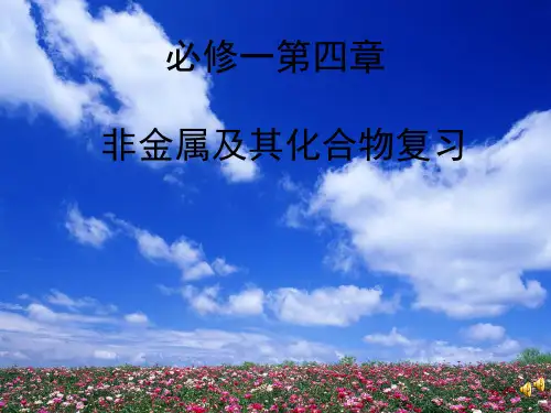 人教版高中化学必修一《非金属及其化合物》复习同步课件