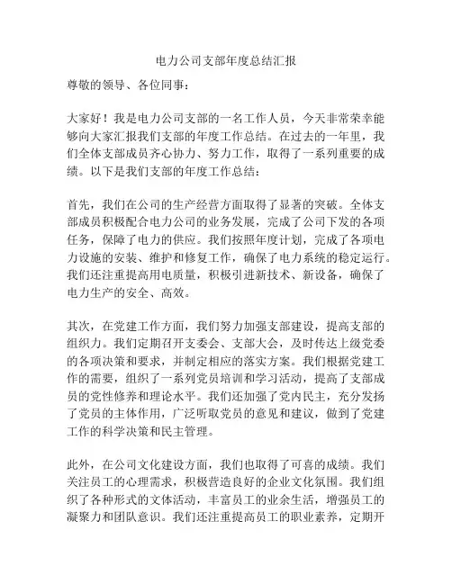 电力公司支部年度总结汇报