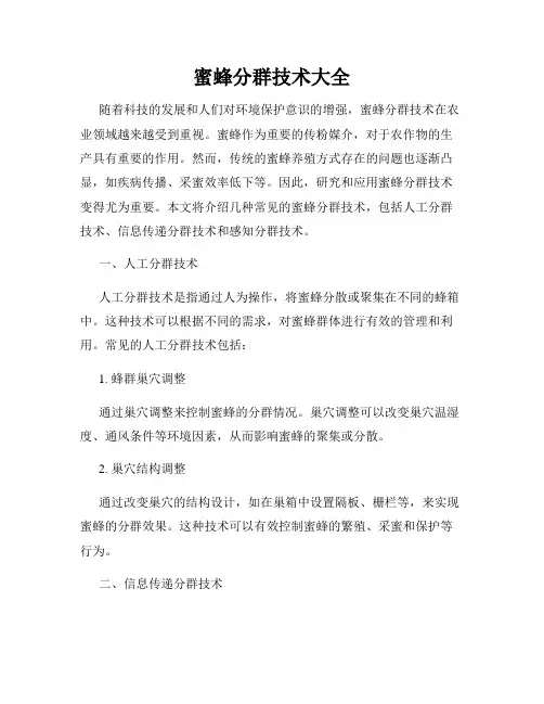 蜜蜂分群技术大全