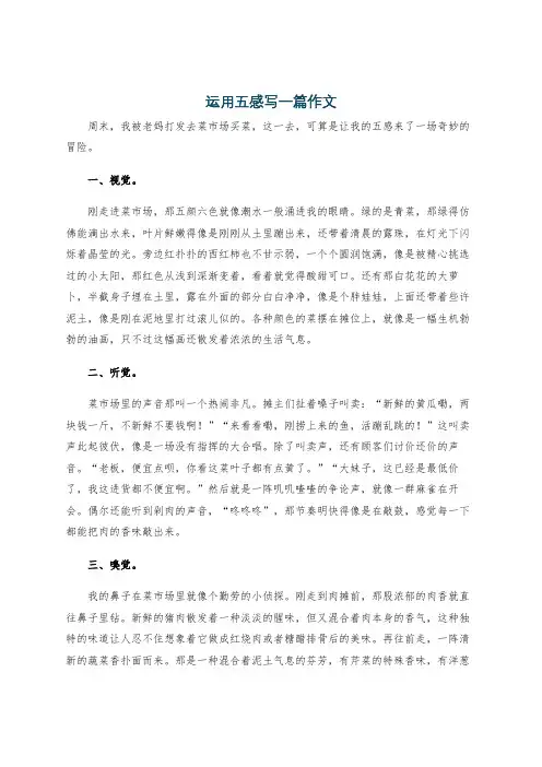 运用五感写一篇作文