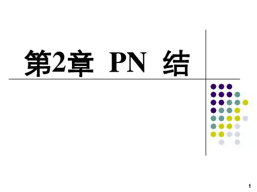 第2章 PN结