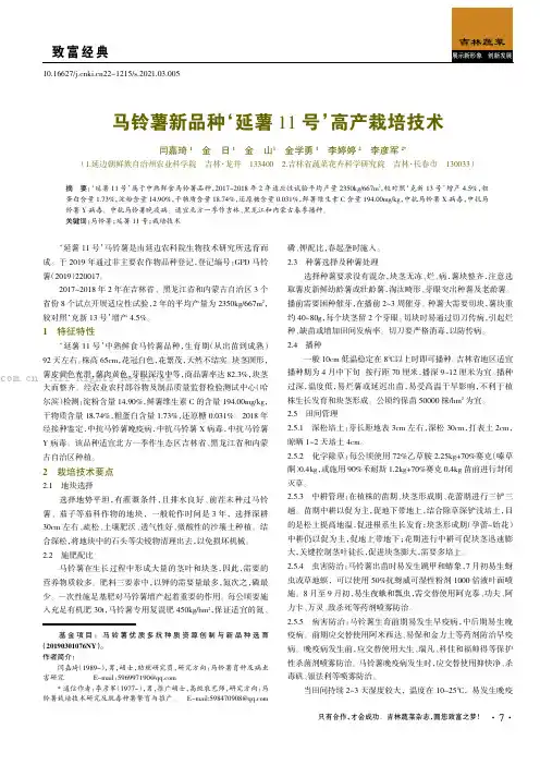 马铃薯新品种‘延薯11 号’高产栽培技术