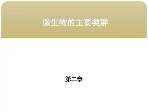 食品微生物学第二章 微生物的主要类群 第三节非细胞型微生物