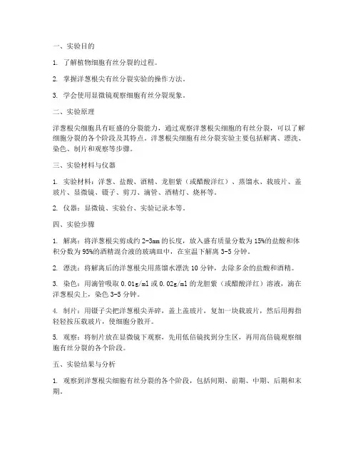 洋葱分裂实验报告