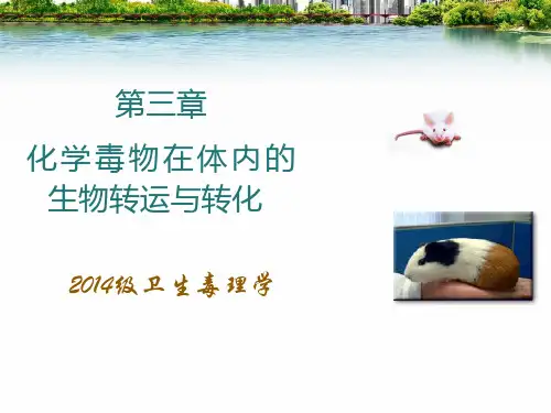 第3章化学毒物在体内的生物转运与转化