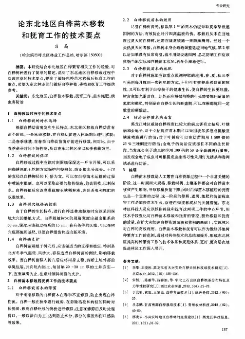论东北地区白桦苗木移栽和抚育工作的技术要点