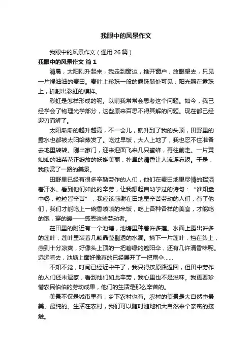 我眼中的风景作文