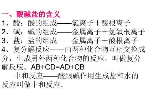 九年级科学酸碱盐4(PPT)5-4