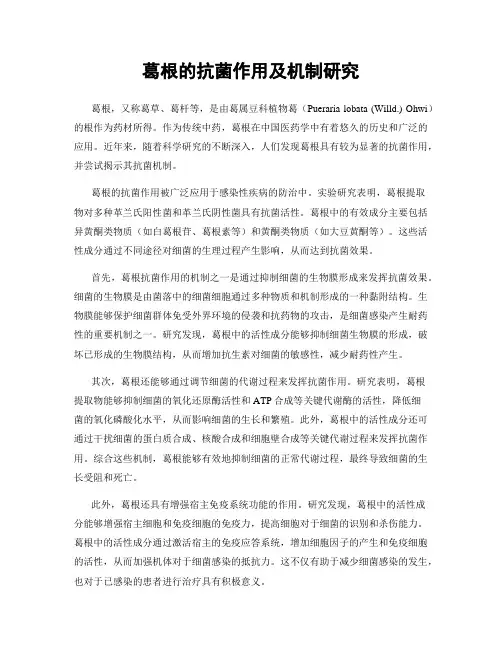 葛根的抗菌作用及机制研究