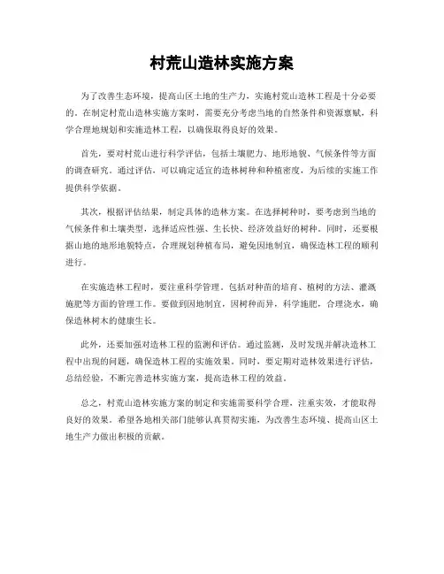 村荒山造林实施方案