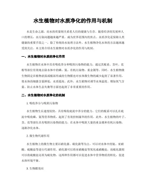 水生植物对水质净化的作用与机制
