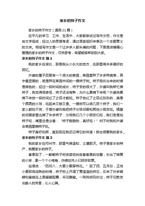 家乡的柿子作文