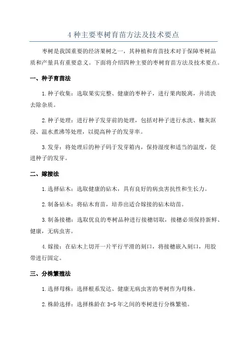 4种主要枣树育苗方法及技术要点