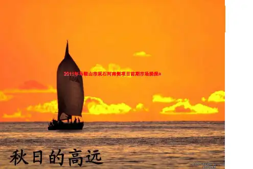 2011年马鞍山市采石河南侧项目前期市场提报a