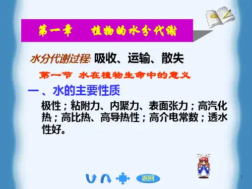 植物的水分代谢
