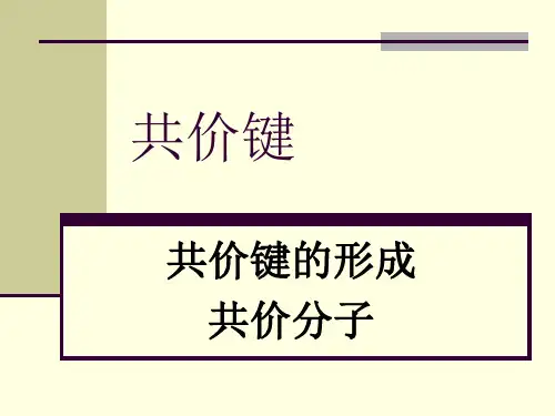 共价键的形成(3).ppt