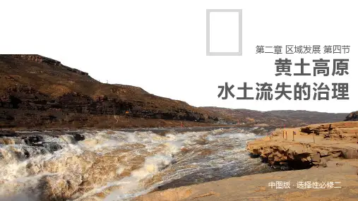 黄土高原水土流失的治理(精品课件)