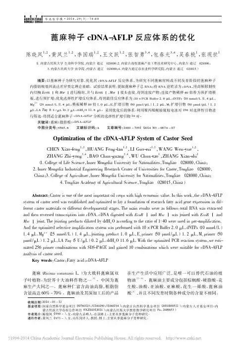 蓖麻种子cDNA_AFLP反应体系的优化
