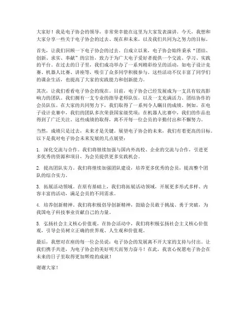电子协会领导发言稿