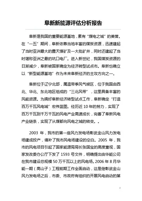阜新新能源评估分析报告