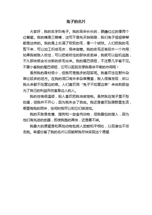 兔子的名片