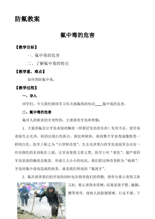 防氟教案2