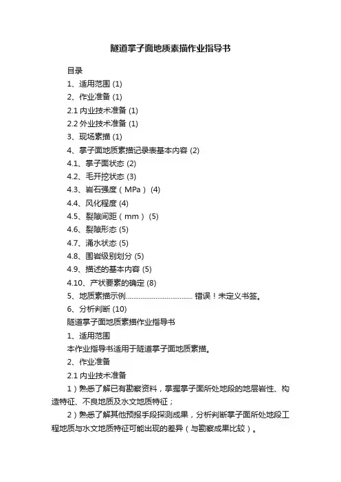 隧道掌子面地质素描作业指导书