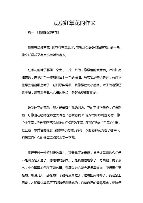 观察红掌花的作文
