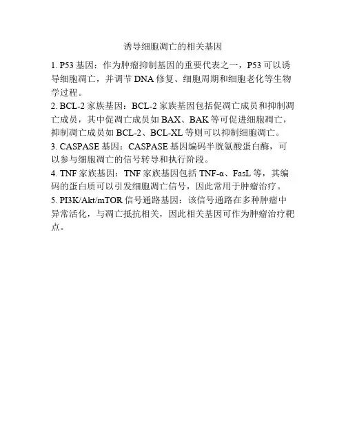 诱导细胞凋亡的相关基因