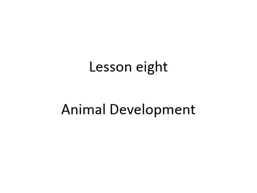 生物专业英语lesson_eight_animal