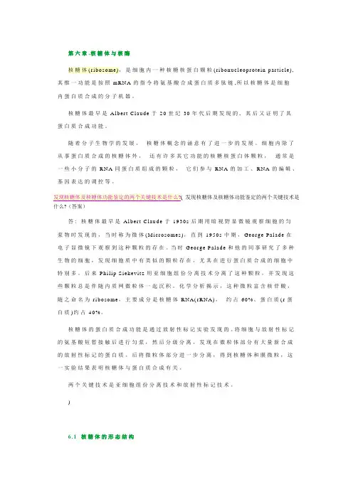 06核糖体与核酶解析