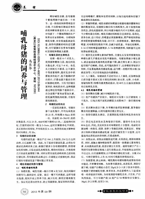 哺乳母猪的饲养与管理