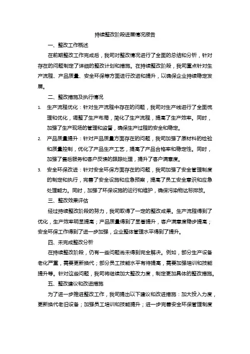 持续整改阶段进展情况报告
